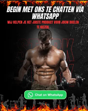 Begin met ons te chatten via WhatsApp