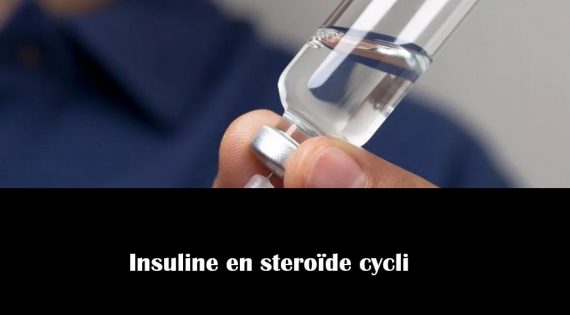 Insuline en steroïde cycli