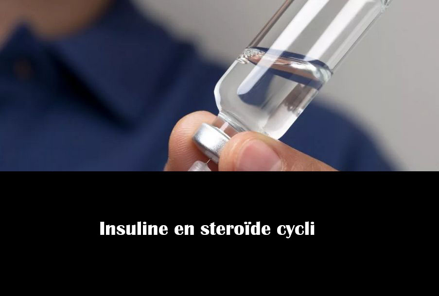 Insuline en steroïde cycli