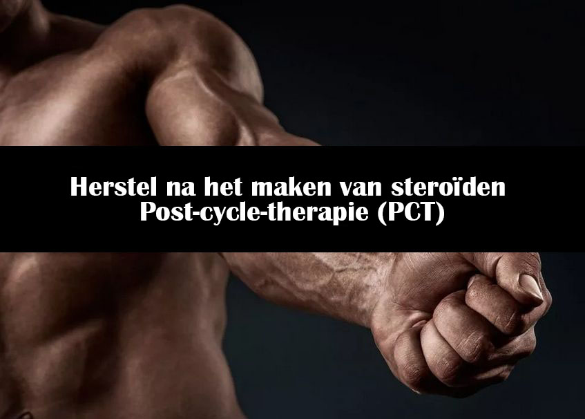 Herstel na het maken van steroïden | Post-cycle-therapie (PCT)