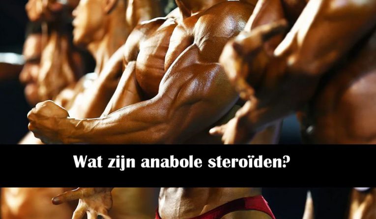 Wat zijn anabole steroïden?