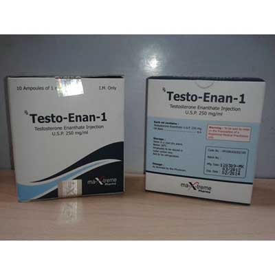 Testo-Enan amp te koop bij anabol-nl.com in Nederland | Testosteron enanthaat Online