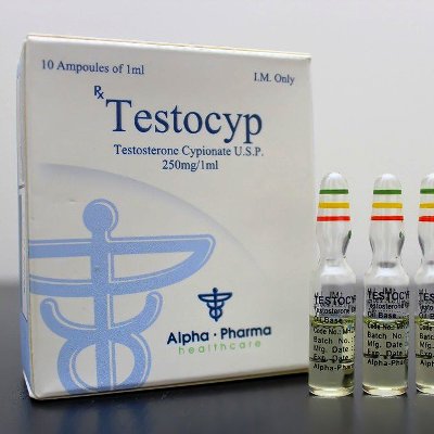 Testocyp te koop bij anabol-nl.com in Nederland | Testosteron cypionate Online